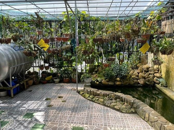 Bán Villa Hẻm ô tô Sổ riêng Nguyễn Hữu Cảnh, Phường 8, Đà Lạt