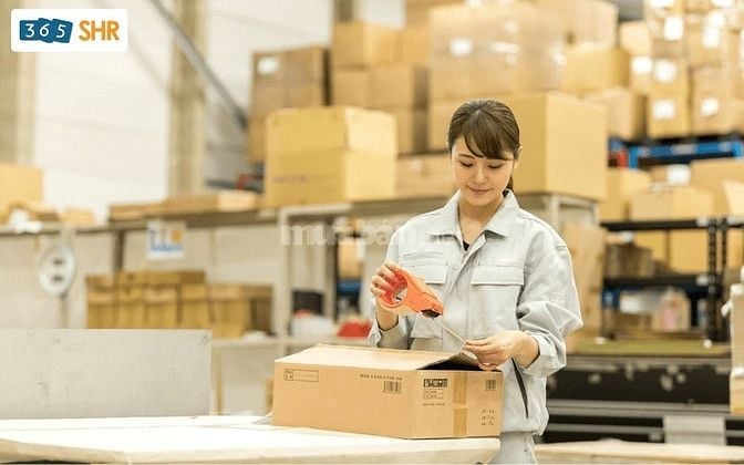 CẦN GẤP 3 NHÂN VIÊN ĐÓNG GÓI DÁN TEM 