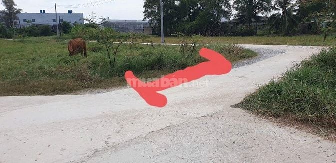 Chính chủ bán đất 100m2 giá 1,7 tỷ Long Cang, Cần Đước