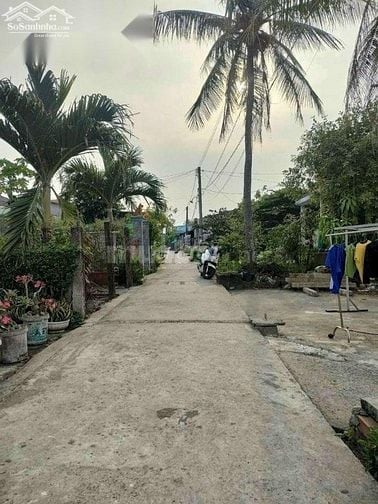Chính chủ bán đất ODT Tân Trụ, Long An