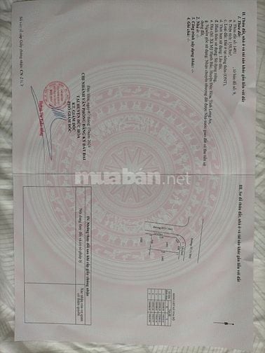 Bán đất gấp mặt tiền dự án Cát Tường Phú Sinh 