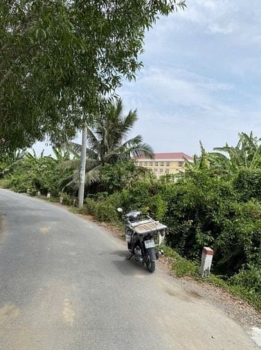 Bán đất tại Đường Kinh Rau Răm, Xã Bình Lợi, Bình Chánh, Hồ Chí Minh