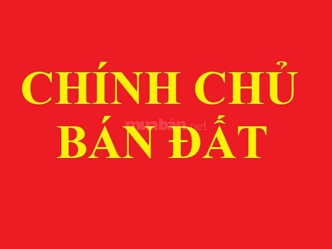 Cần bán 4 lô đất trồng cây lâu năm Thành phố ngã 7 Hậu Giang