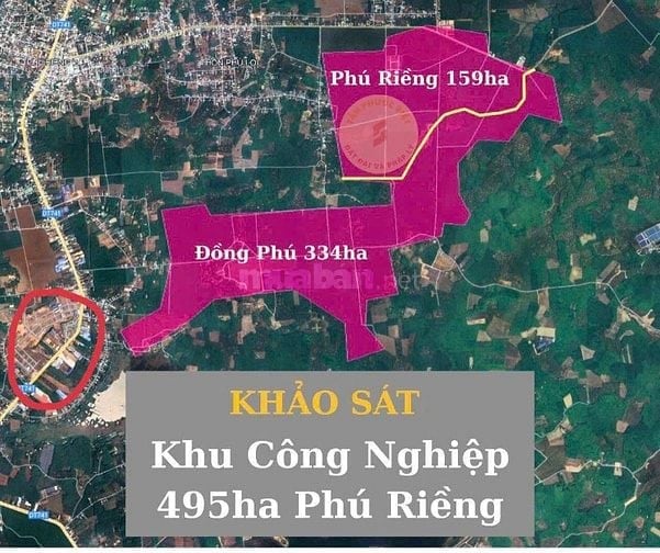 Đất Bình Phước mặt tiền đường xã sát khu dân cư lớn đang khảo sát xây 