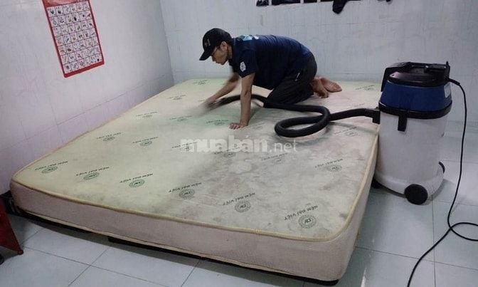 Cần tuyển 1 bạn làm vệ sinh sofa nệm