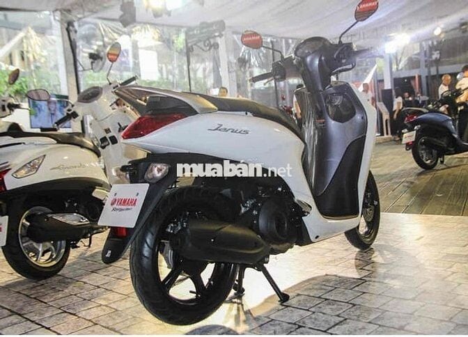 Cần bán xe máy Janus 2017 Trắng giá 15 triệu nữ đi