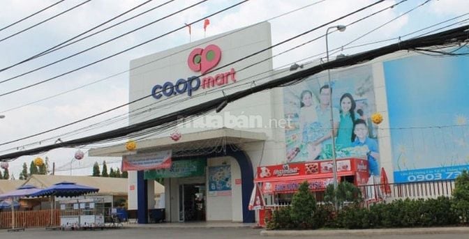 Tuyển 8 Nhân Viên Trực Quầy Bán Hàng/Tạp Vụ