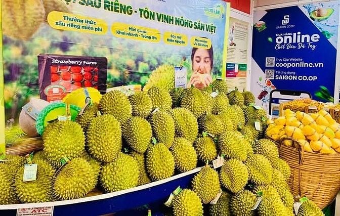 Chuỗi Siêu Thị Bổ Sung Nhân Sự Dịp Hè Ở Vị Trí Tạp Vụ, Bán Hàng, Kho