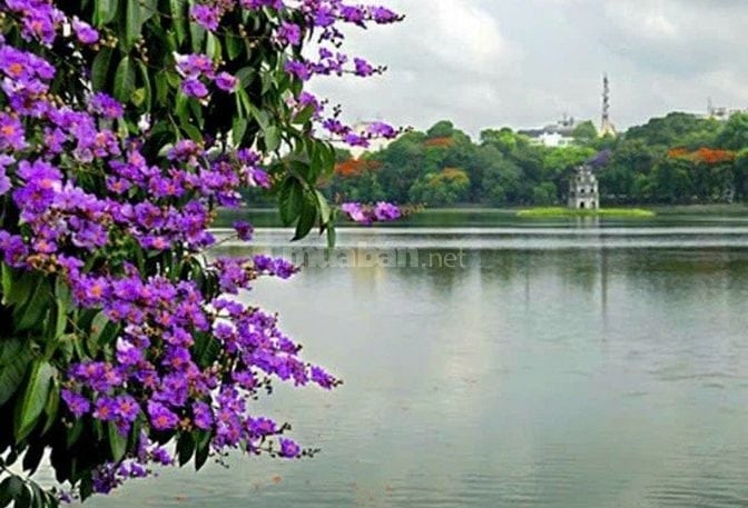 Cần một nữ khỏe mạnh, tuổi dưới 40 để làm xoa bóp, bấm huyệt