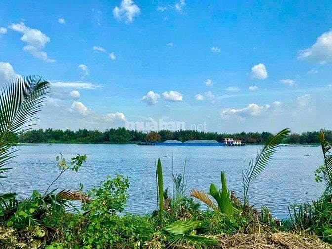 Siêu Phẩm 1000mv Mặt Tiền Sông Vàm Cỏ Đông xã Lương Hoà đường 2 xe tải
