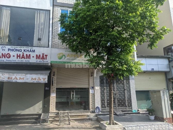 Cho thuê nhà nguyên căn mặt đường 8m, có vỉa hè 