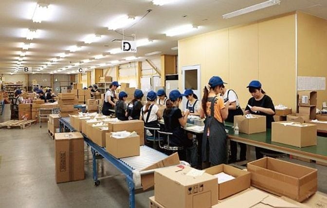 Tuyển gấp Nam Nữ LĐPT dán tem, đóng gói - đi làm ngay, Được chỉ việc! 