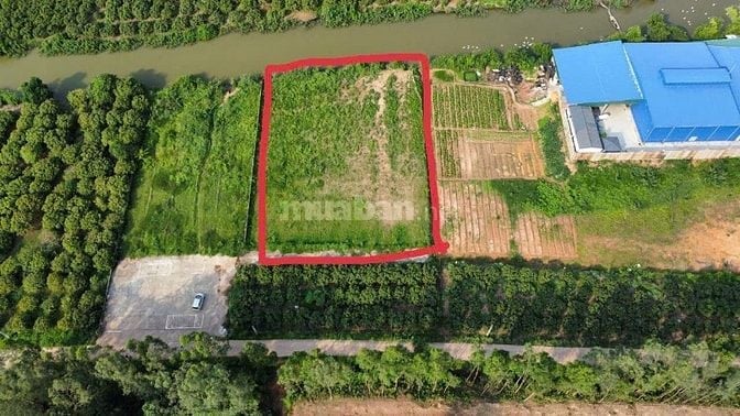 Chính chủ bán 4 lô đất giá chỉ vài triệu