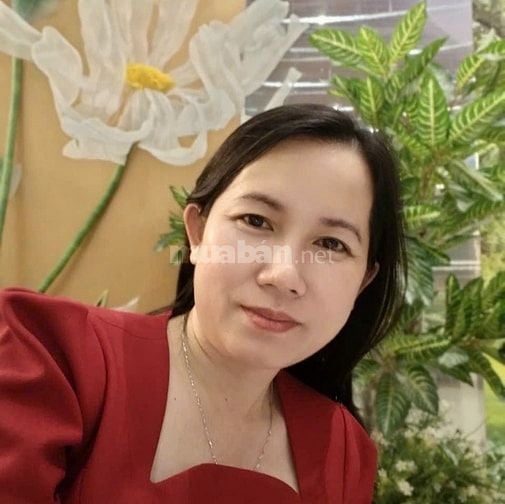 Báo cáo thuế, hoàn thuế GTGT, quyết toán thuế TNDN, báo tăng, giảm BHX
