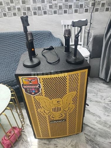 Cho thuê loa kéo giá rẻ chất lượng Nhà Bè
