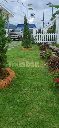 Bán nhà đất gần trung tâm Bảo Lộc chỉ với giá 6 tỷ đồng