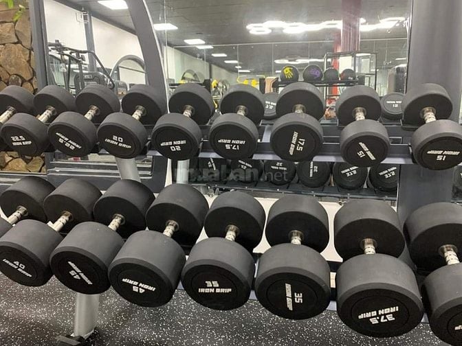 Hot sale . Dumbbell đồng giá 39k / 1kg . Sl có hạn , cod toàn quốc