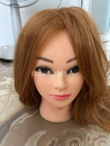 Đầu tóc vàng Manocanh cho người học tóc