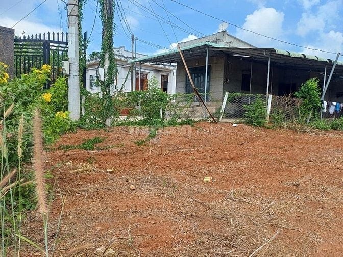 BÁN ĐẤT NÔNG NGHIỆP  ( CLN) TỈNH ĐỒNG NAI