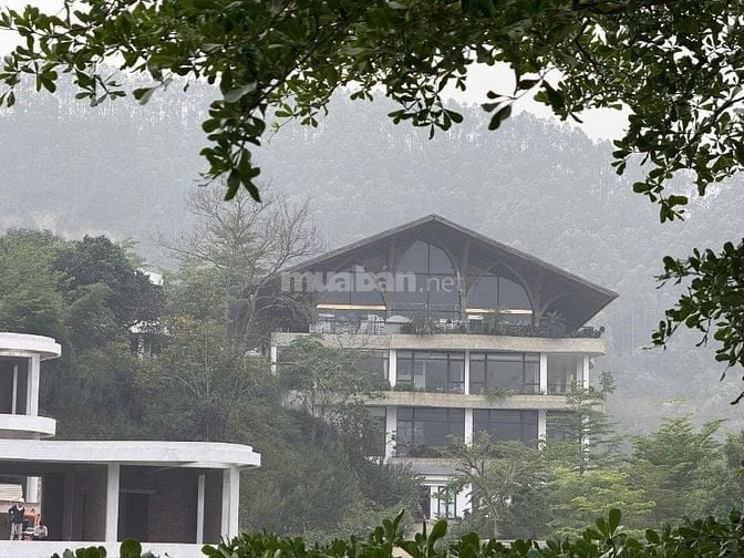 Bán Biệt Thự Nghỉ Dưỡng Cao Cấp Dự án IVORY VILLAS & RESORT Lương Sơn 
