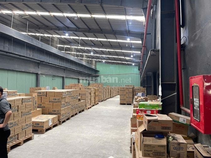 CHO THUÊ NHÀ XƯỞNG TỪ 900-3000M CÓ PCCC ĐƯỜNG CONTAINER