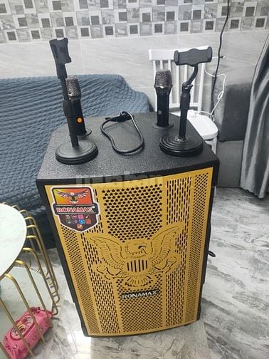 Cho Thuê Loa Kéo hát hay giá rẻ tại Q7