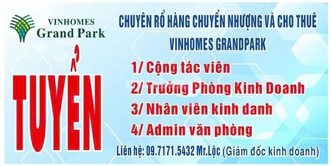 Tuyển gấp trưởng phòng KD, NVKD, NV telesales & Admin văn phòng 