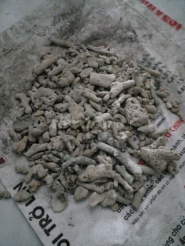TUYỂN 1 NGƯỜI PHỤ VIỆC HỒ CÁ – CHIA & KHIÊNG VẬT LIỆU