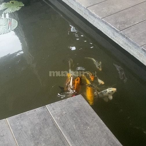 Việc làm theo ca tại chỗ gần Tân Bình
