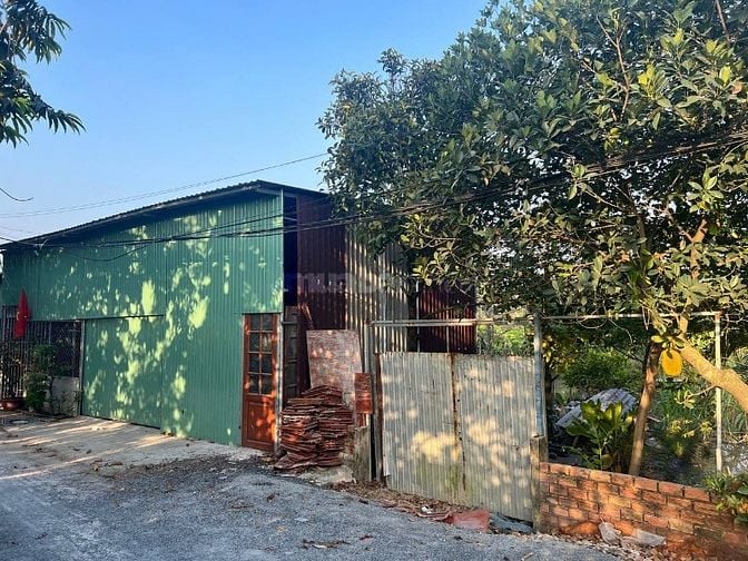 Chính Chủ Bán Đất Thổ Cư đường Võ Thị Đầy Hóc Môn