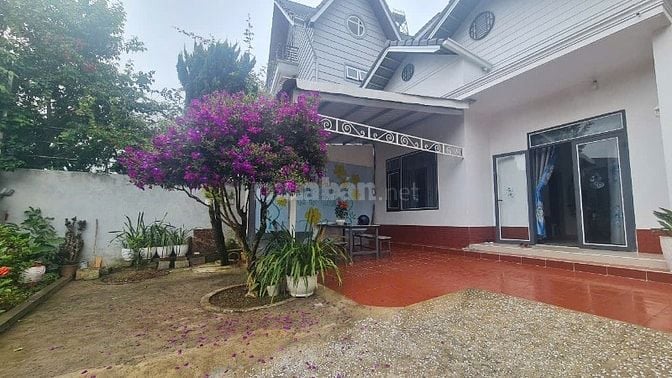 Nhà Đà Lạt cho thuê tại hẻm Phù Đổng Thiên Vương phường Lâm Viên