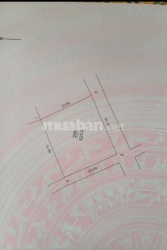 Mảnh HOA HẬU ĐẸP MÊ LY. Mua đất tặng nhà.