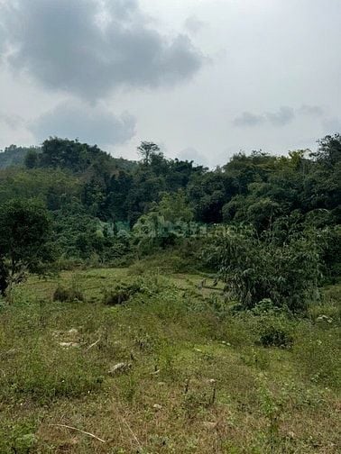 BÁN ĐẤT THỔ CƯ MẶT TIỀN LỚN GIÁ RẺ TẠI TÂN LẠC