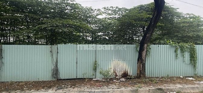 💧 Ngang 20x10 Mặt Tiền Võ Văn Kiệt, An Lạc, Biệt Thự 