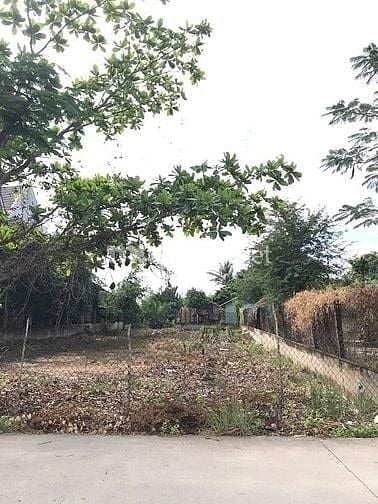 BÁN 2 LÔ ĐẤT LIỀN KỀ MT HÀ QUANG VÓC, BÌNH KHÁNH, CẦN GIỜ,  14,5TR/M2