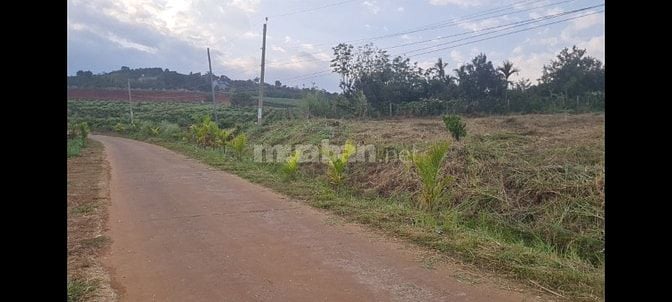 Bán đất tại xã Đan Phượng, Lâm Hà, Lâm Đồng. View thoáng mát.
