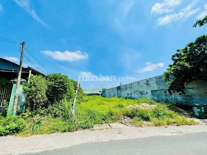 BÁN GẤP LÔ ĐẤT 400M2 THỔ CƯ,TÂN THÔNG HỘI,CỦ CHI,GIÁ NGỘP 520TR,SHR