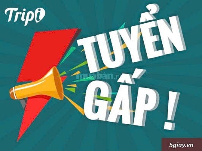 CÔNG TY TUYỂN DỤNG NHÂN SỰ ( VỊ TRÍ VĂN PHÒNG )