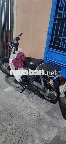 Cub81 cần bán