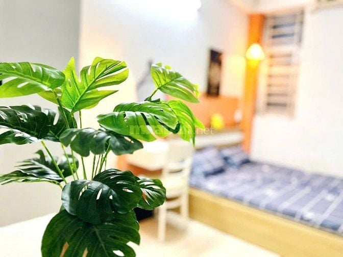 Cho thuê phòng máy lạnh 3tr2 giờ giấc tự do Gần Chợ Phạm Đăng Giảng 