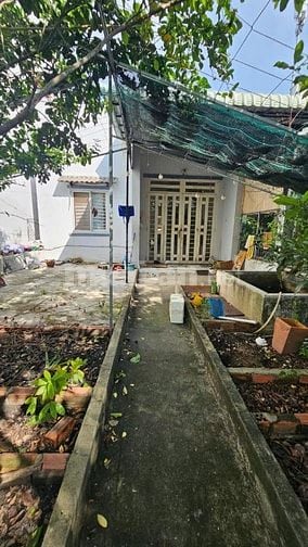 Gần cầu Phước Long, Nhà Vườn Cấp 4, DT 159m2.