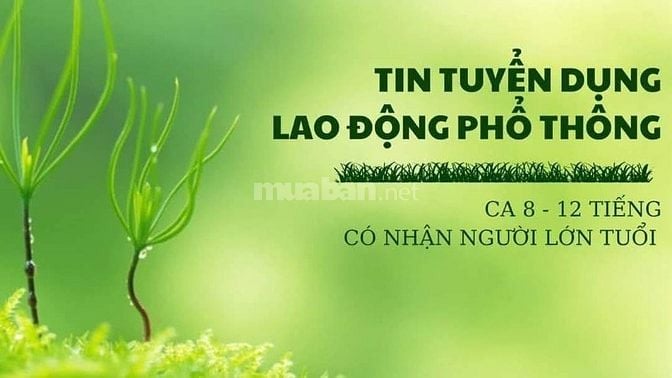 CỬA HÀNG CHÍNH CHỦ CẦN BỔ SUNG NHÂN VIÊN ĐI LÀM LIỀN