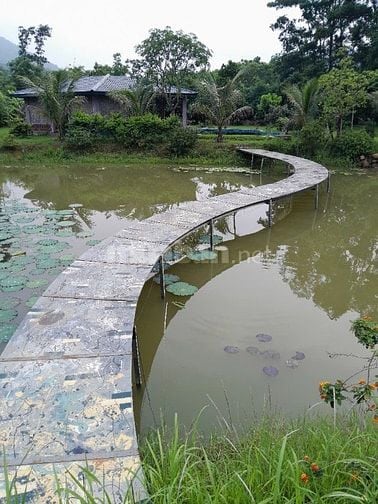 Bán Nhà Đất thôn  Thanh Sơn xã nam Sơn. Huyện Sóc Sơn 200 m2 mt 10 m