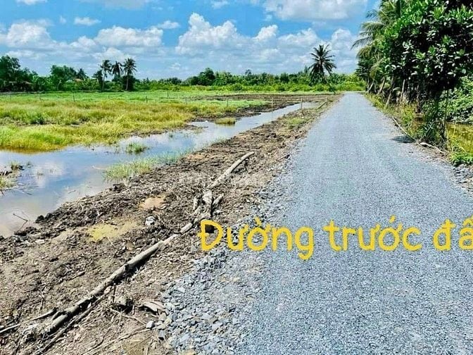 Cần bán gấp đất vườn ở ấp 1, xã Thạnh Hòa, Bến Lức, Long An.