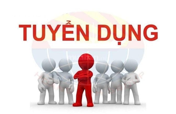 Cần tuyển 1 Tài xế xe tải, 2 Tài xế xe bán tải, 1 Phụ xe rành đường TP