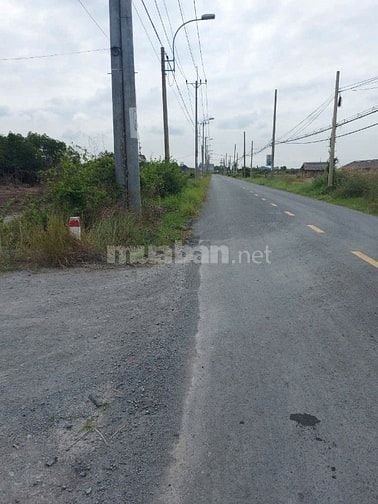 Bán đất MT Lý Nhơn, X. Lý Nhơn, Cần Giờ: 88.170m2, giá 180 tỷ