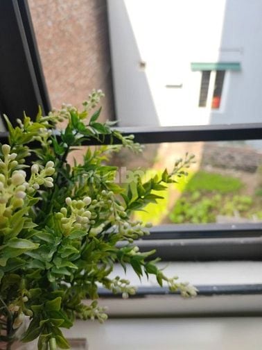 Cần tiền đầu tư, bán gấp nhà đẹp 5 tầng Dương Nội