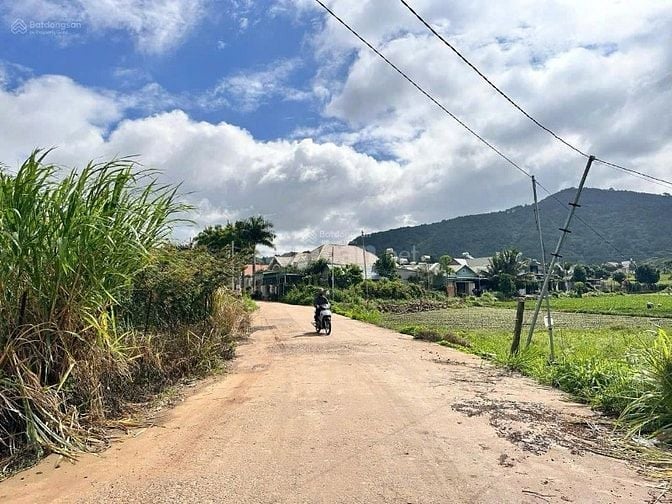 (Phát Mại) đất rẽ Phan Chu Trinh (25x65) cách sb Liên Khương 2km