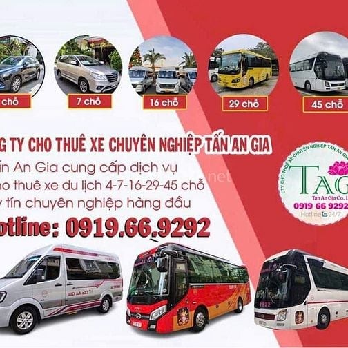 Cần hợp tác tài xế B2, D lái xe hợp đồng du lịch 