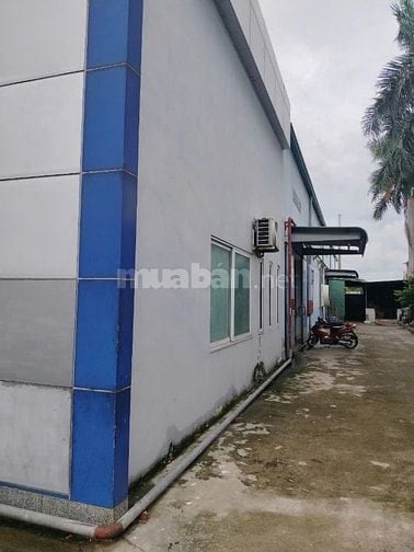 Kho xưởng cho thuê Quận Gò Vấp , DT: 3,200m2 
